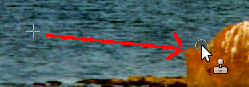 Kopioituminen
