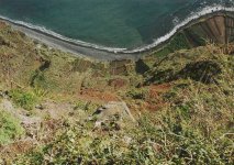 madeira:gabogiraop.jpg