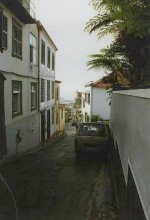 madeira:katualas2p.jpg
