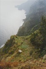 madeira:viinitila_rantap.jpg